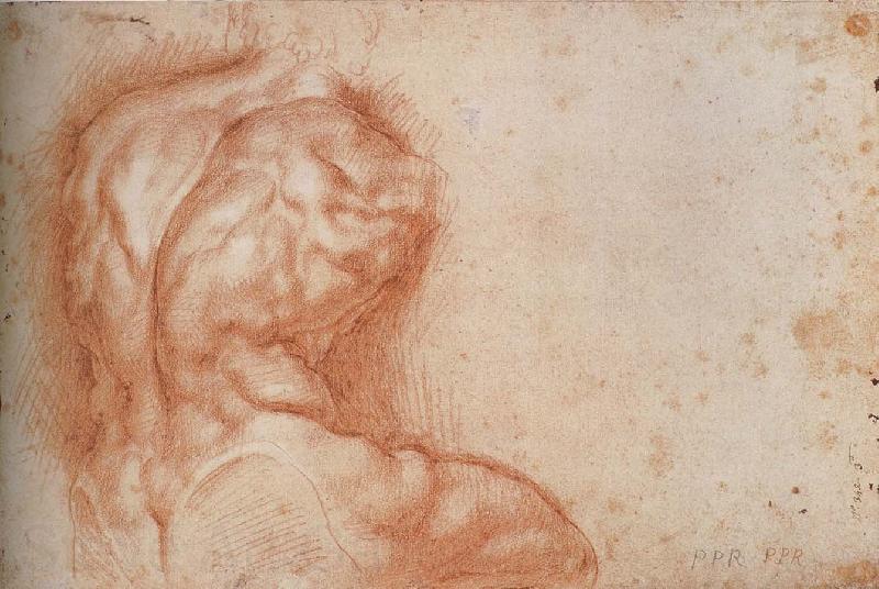 Peter Paul Rubens Facsimile form Torso belvedere Norge oil painting art